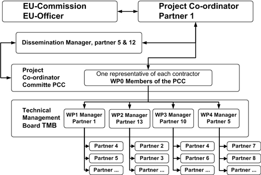 Governance, management, co-ordination, execution and support structure of the project